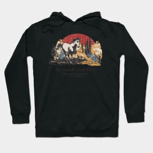 brandi carlile Hoodie